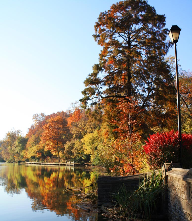 Photography by 12Step for DesignCrowd (Community Contests) | Design #8959569