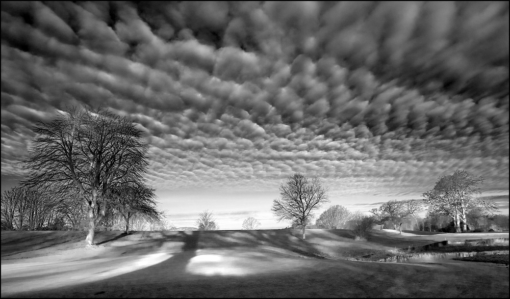 Fotografie von SigloV für DesignCrowd (Community Contests) | Design #8959892