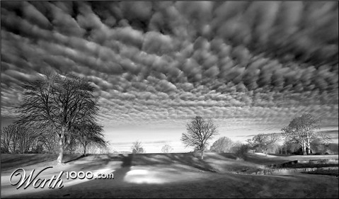 Photography by SigloV