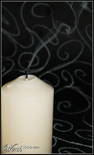 Photography by tincanblower