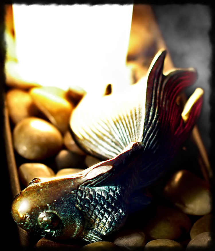 Photographie par capriccio pour DesignCrowd (Community Contests) | Design #8959752