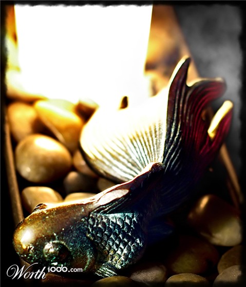 Photography by capriccio