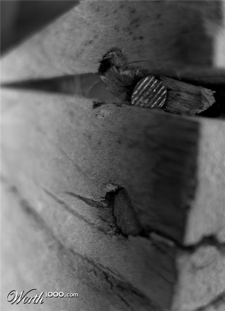 Photography by tattooholly