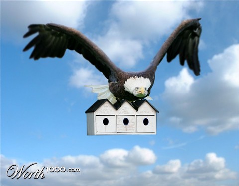 Photoshop Design by ciftal