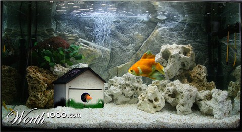Photoshop Design by rajciu44