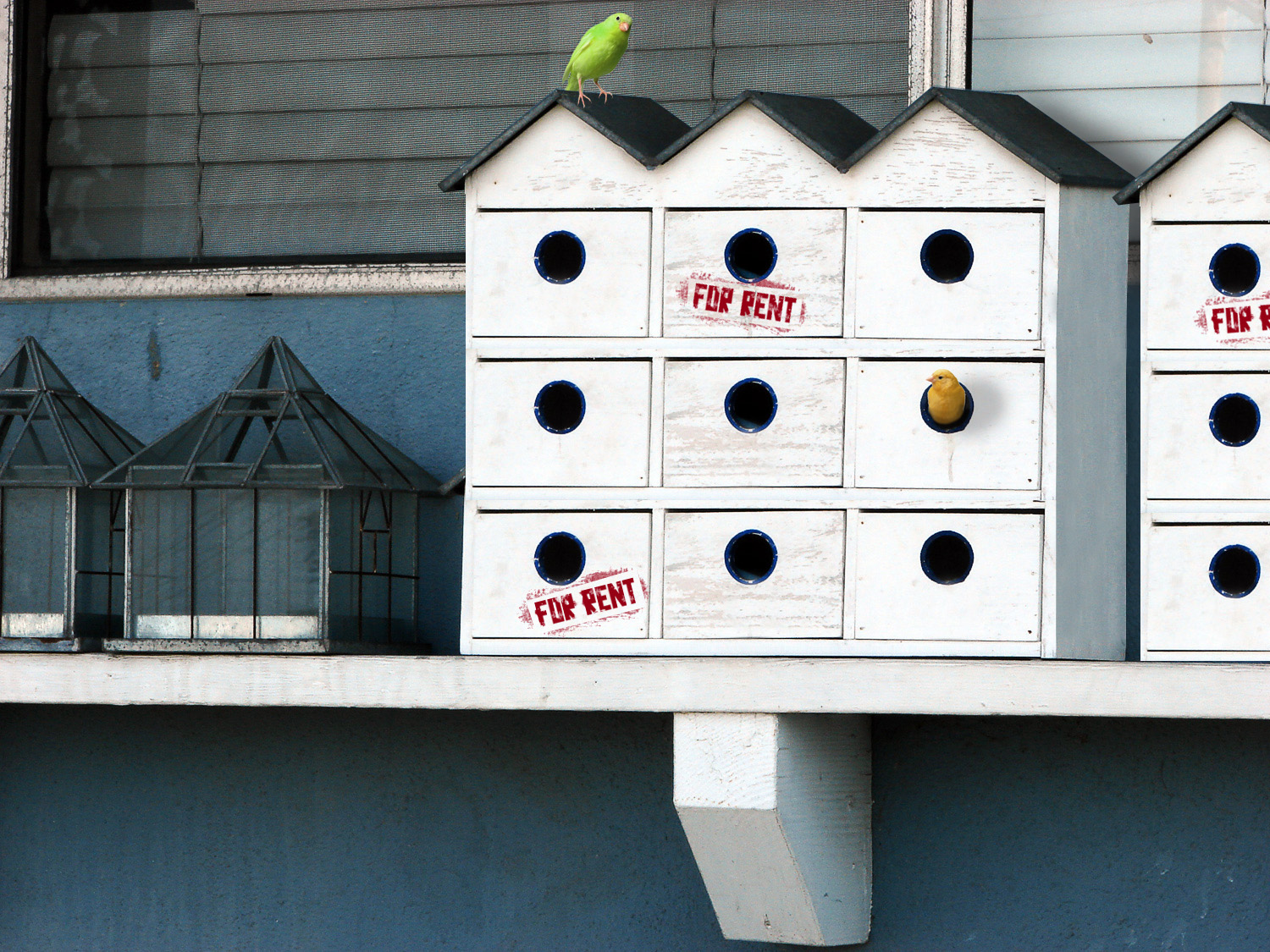 Photoshop Design by OngisNade for DesignCrowd (Community Contests) | Design #8959300