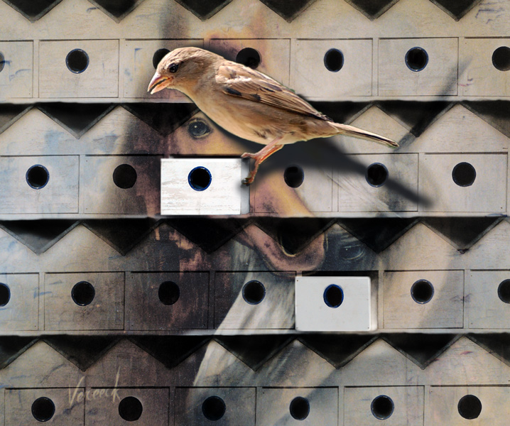 Photoshop Design by marymagdalyne for DesignCrowd (Community Contests) | Design #8959270