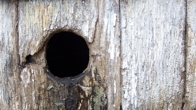 Photographie par Balbina pour DesignCrowd (Community Contests) | Design #8959022