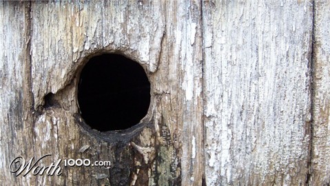 Photography by Balbina