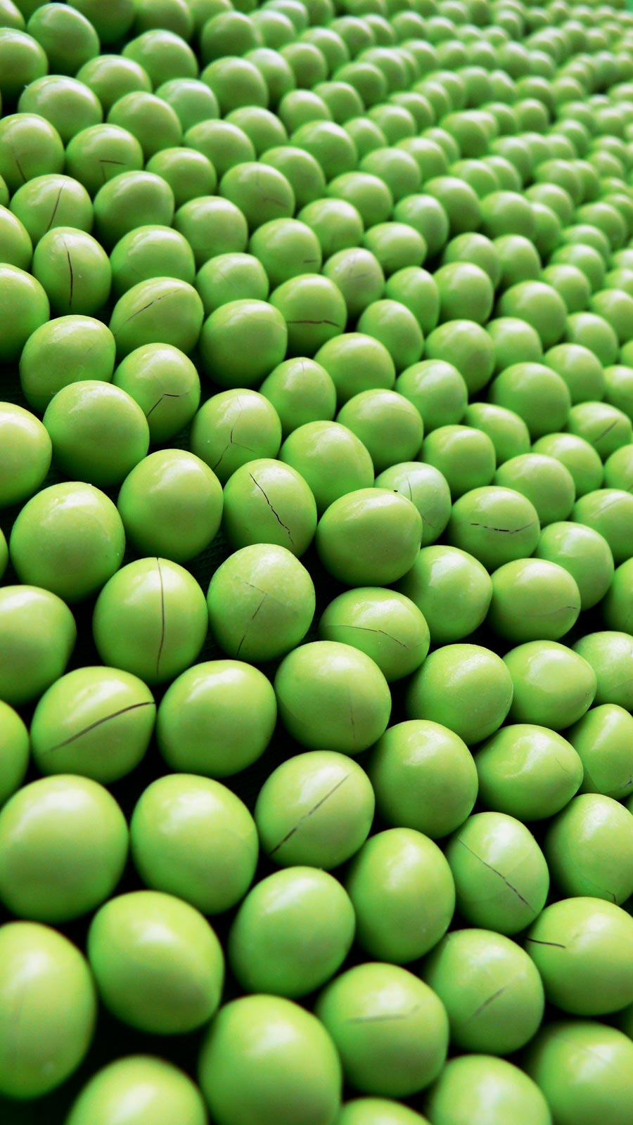 Photography by sausirhi for DesignCrowd (Community Contests) | Design #8957029