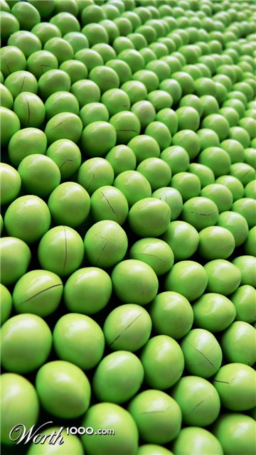 Photography by sausirhi