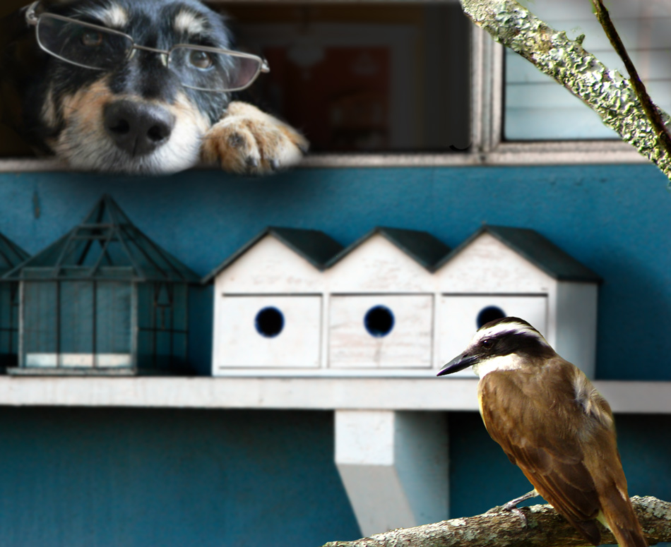 Photoshop-Design von kempony für DesignCrowd (Community Contests) | Design #8959275