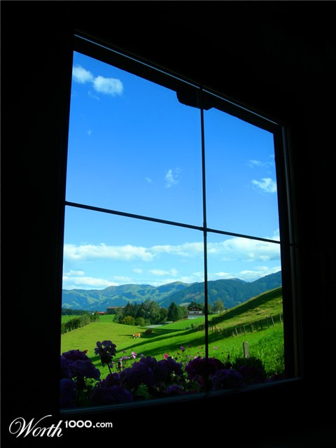 Photography by Calavera