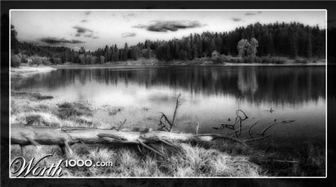 Photography by jasduc