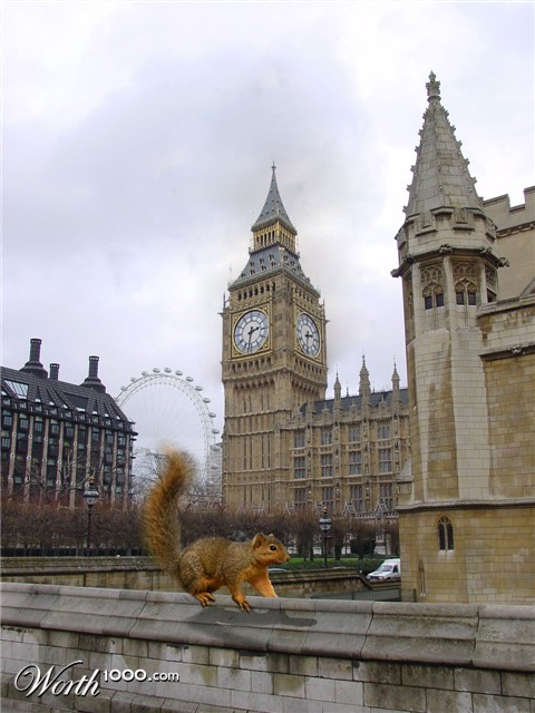 Photoshop Design by tdriling