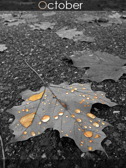 Photography by automotivefever for DesignCrowd (Community Contests) | Design #8957248