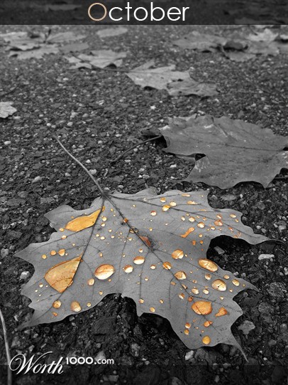 Photography by automotivefever