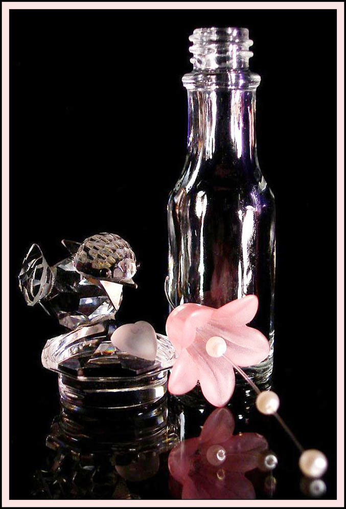 Photographie par Isabella2006 pour DesignCrowd (Community Contests) | Design #8957047