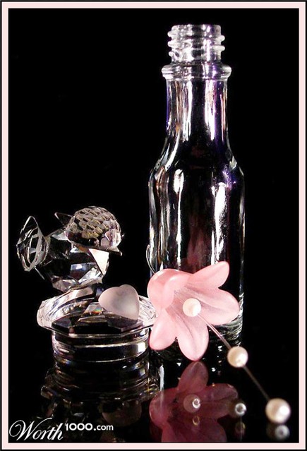 Photography by Isabella2006