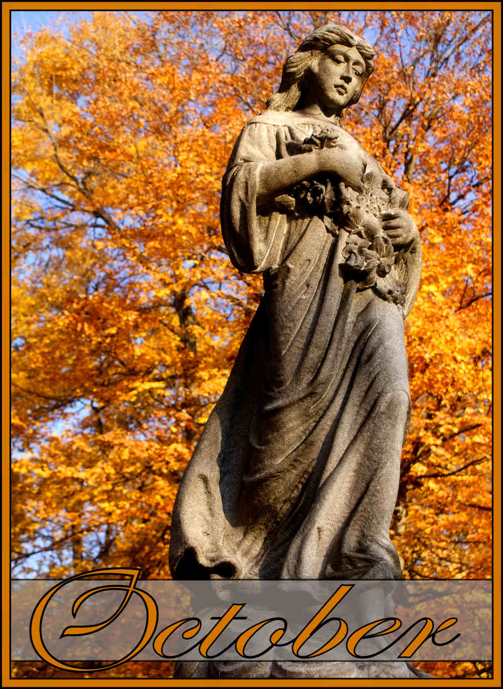 Photography by ThisIsDoe for DesignCrowd (Community Contests) | Design #8957258