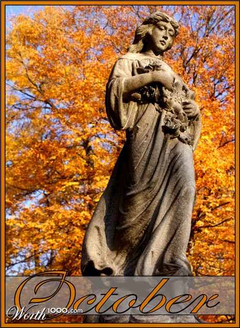 Photography by ThisIsDoe