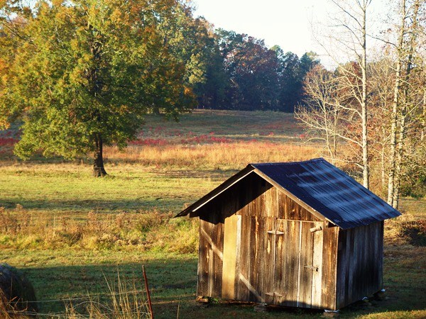 Photography by kanucme for DesignCrowd (Community Contests) | Design #8959157