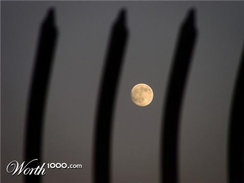 Photography by dimwit91