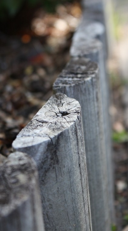 Photography by wonet123 for DesignCrowd (Community Contests) | Design #8959146