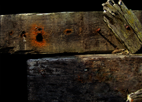 Fotografie von VikiBond für DesignCrowd (Community Contests) | Design #8959118