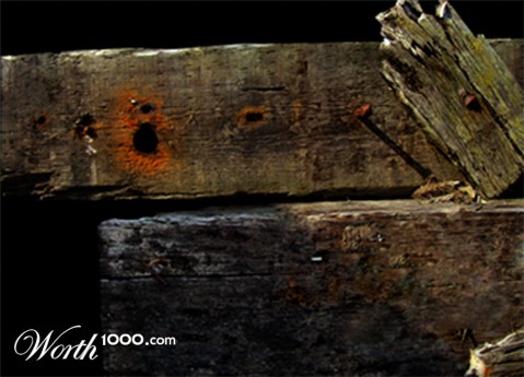 Photography by VikiBond