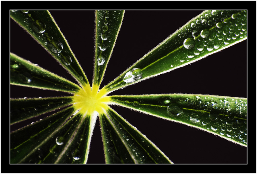 Fotografía por kimbomac para DesignCrowd (Community Contests) | Diseño #8957038