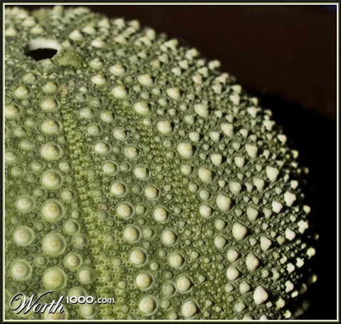 Photography by essjaynz