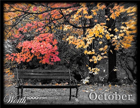 Photography by krissygirl