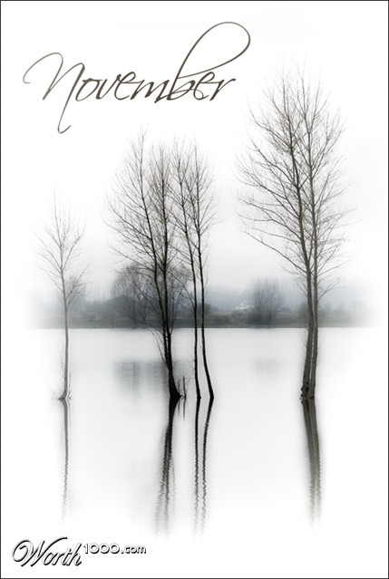 Photography by Marian