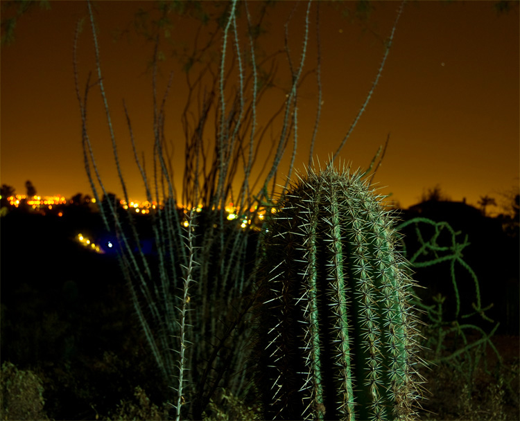 Photography by ClickChick for DesignCrowd (Community Contests) | Design #8960691