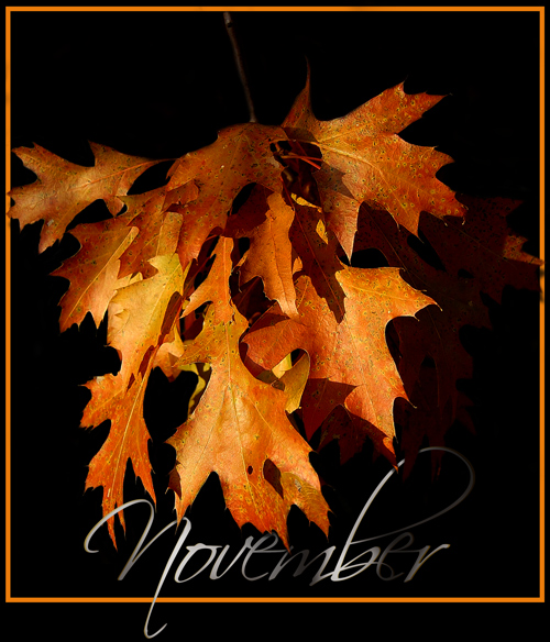 Photographie par Chimmi pour DesignCrowd (Community Contests) | Design #8957274