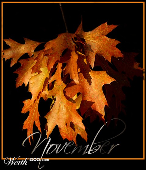 Photography by Chimmi