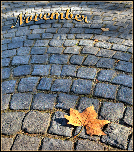 Photography by NatashaP for DesignCrowd (Community Contests) | Design #8957267