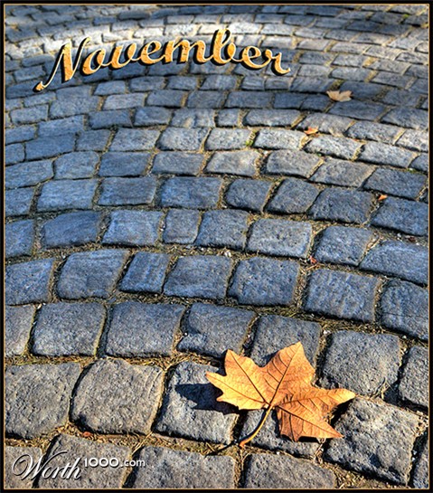 Photography by NatashaP