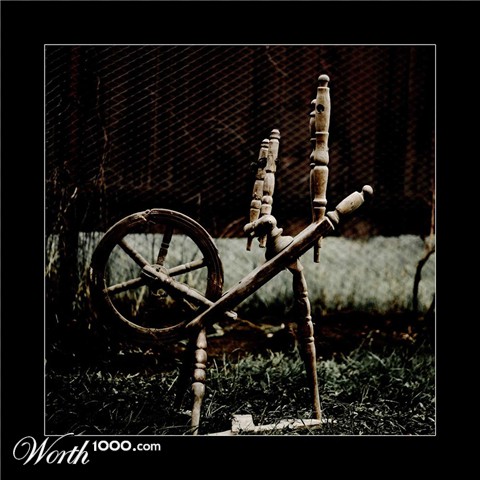 Photography by paradoxart