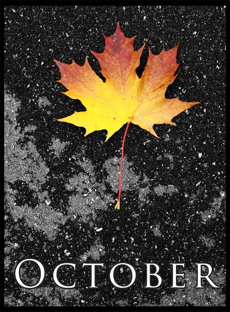 Fotografie von paradoxart für DesignCrowd (Community Contests) | Design #8957287