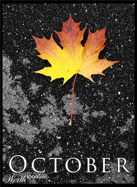 Photography by paradoxart