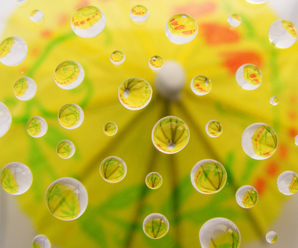 Photography by fujiellena for DesignCrowd (Community Contests) | Design #8960502