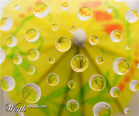 Photography by fujiellena