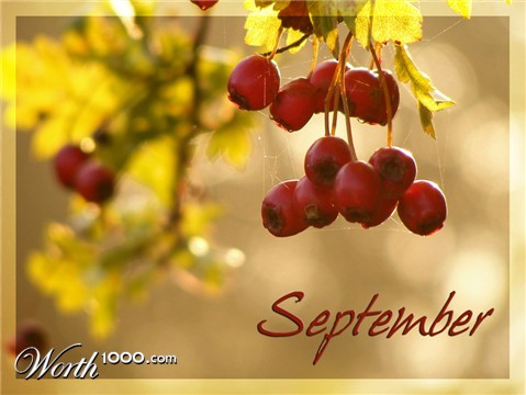 Photography by fujiellena