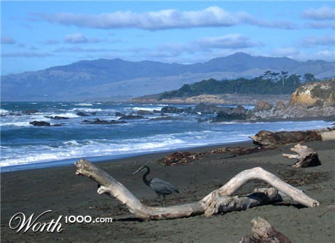 Photography by jhwdesigns