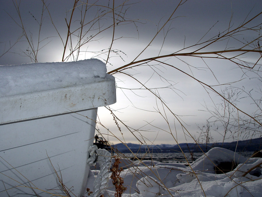 Photography by ljvgtj for DesignCrowd (Community Contests) | Design #8960687