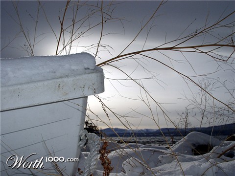 Photography by ljvgtj