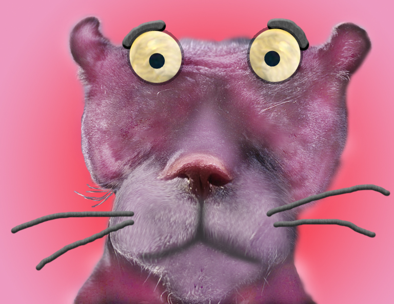 Design Photoshop par beuysh13 pour DesignCrowd (Community Contests) | Design #8958309