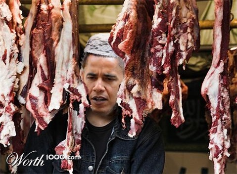 Photoshop Design by shamoon